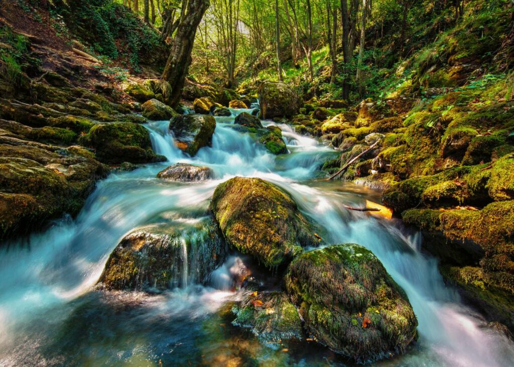 Living Water